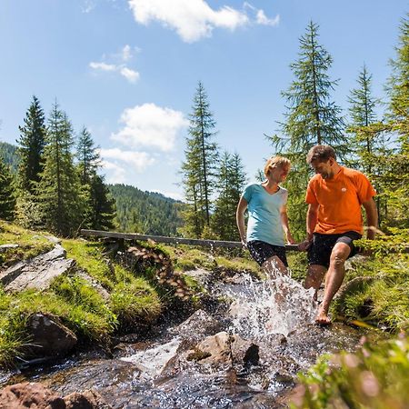 Residence Alba Montis Bad Kleinkirchheim Zewnętrze zdjęcie