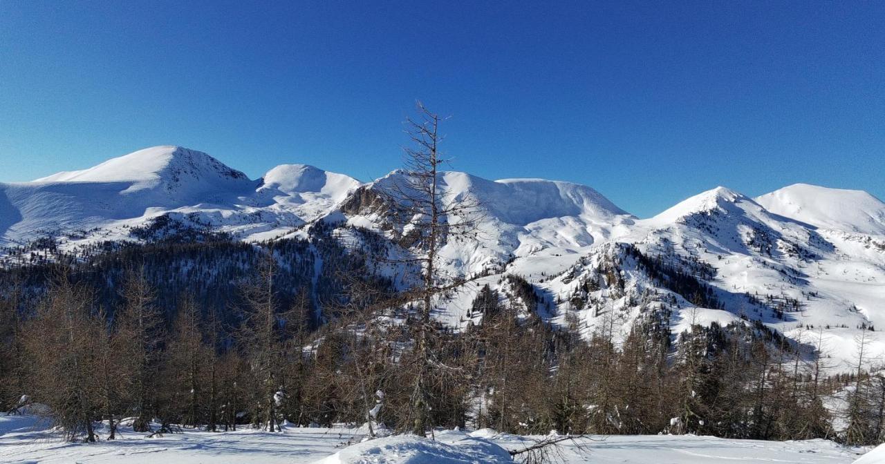 Residence Alba Montis Bad Kleinkirchheim Zewnętrze zdjęcie