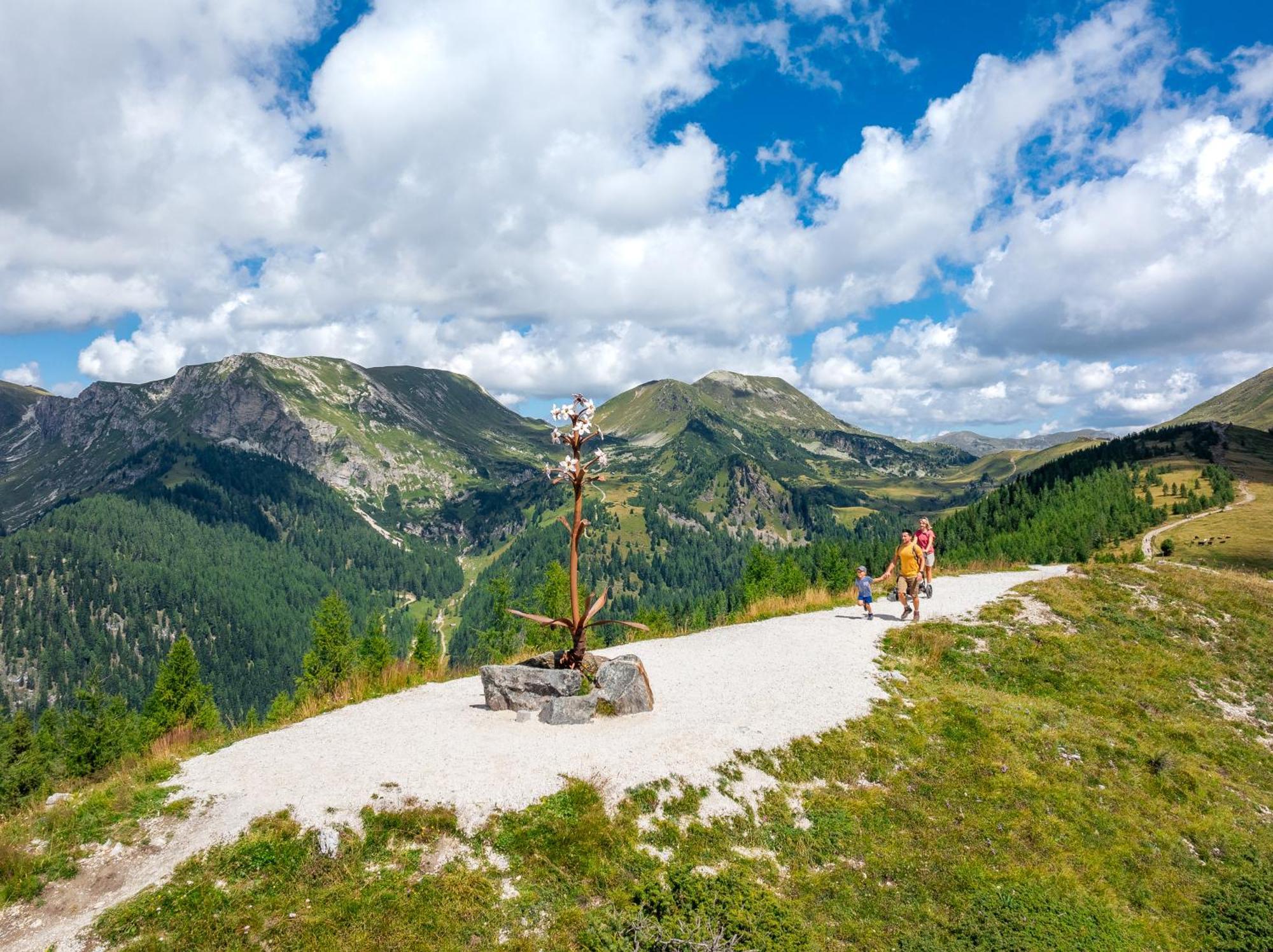 Residence Alba Montis Bad Kleinkirchheim Zewnętrze zdjęcie